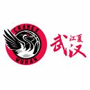 武汉盛帆女篮 武汉盛帆女篮